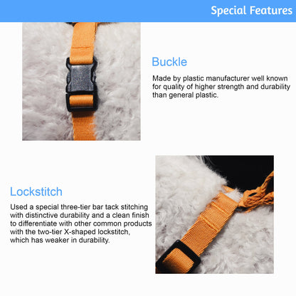 Durable Dog Collar | 40-Stitch Polyester Webbing | 5 Colors | Adjustable Fit Pet&Paw