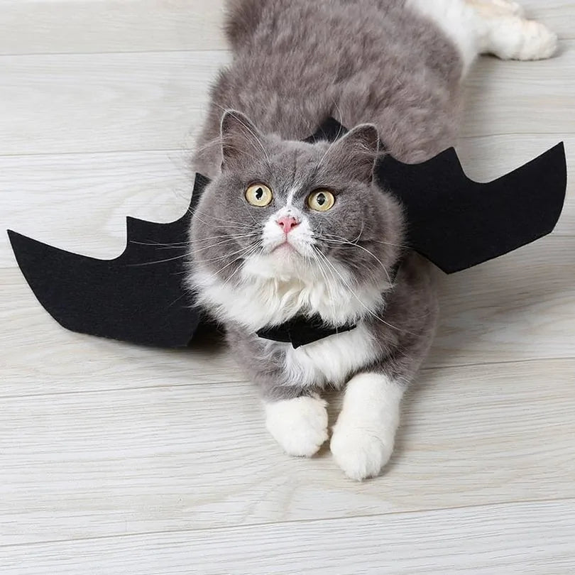 Transform Your pet into a Nocturnal Legend!  Halloween Pet Costume Small Pet Cat Bat Wings Pet&Paw