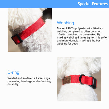 Durable Dog Collar | 40-Stitch Polyester Webbing | 5 Colors | Adjustable Fit Pet&Paw