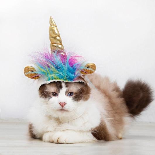 Transform Your Pet into a Magical Unicorn! 🦄 Pets Halloween Costume Hats Pet&Paw