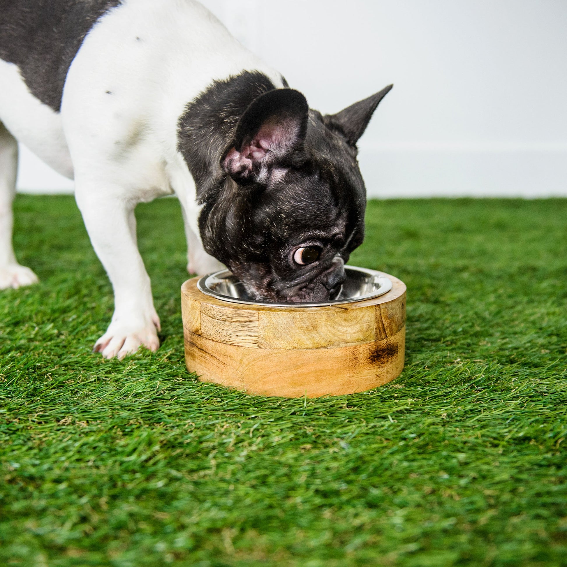 Luxury Mango Wood Pet Bowl Set<one bow>| Elevated Dog & Cat Dishes with Stainless Steel Bowls Pet&Paw