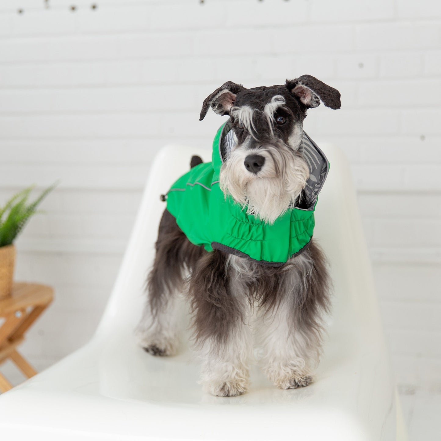 Eco-Green Reversible Dog Raincoat - Go Bold, Stay Dry Pet&Paw