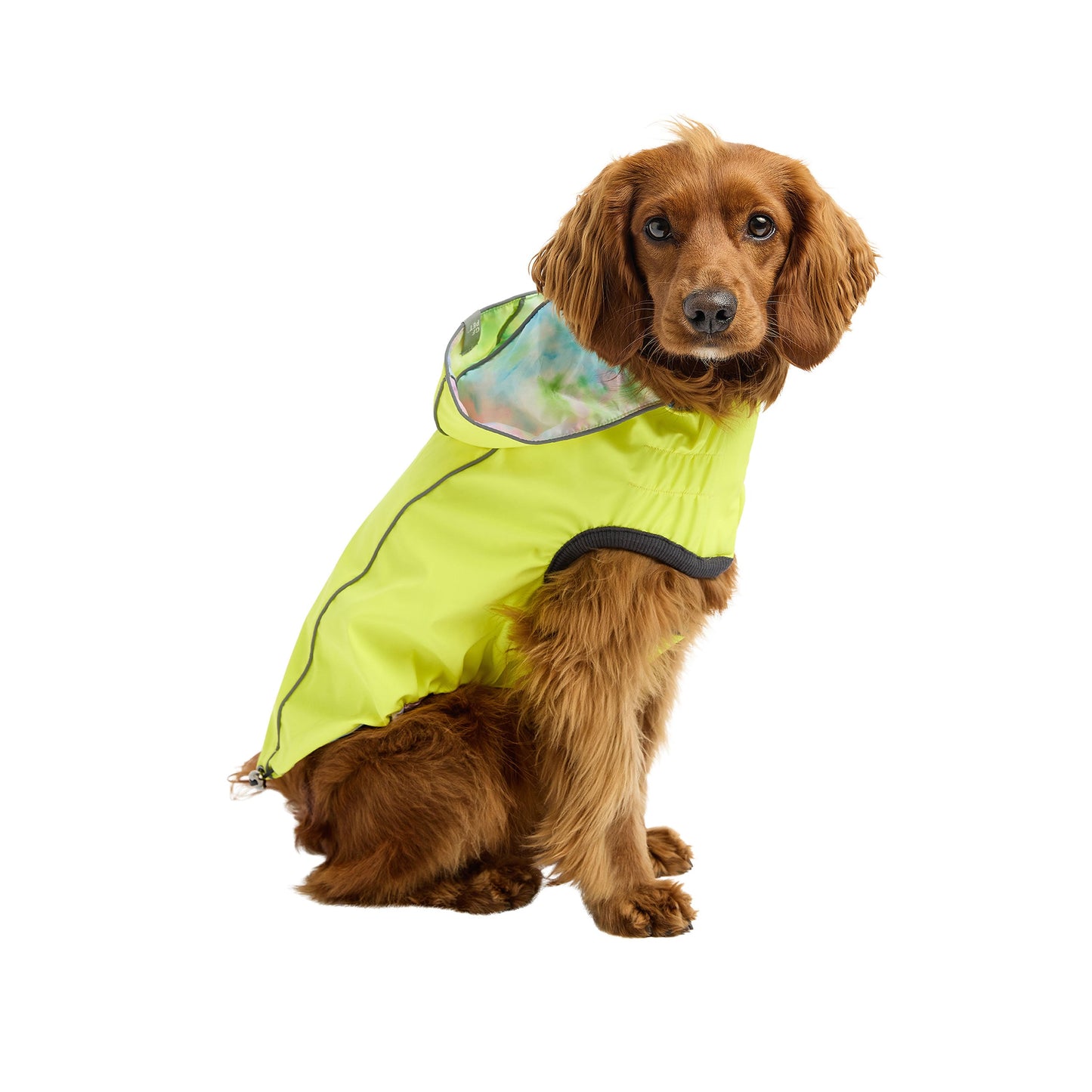 2-in-1 Reflective Dog Raincoat - Safety & Style for Every Weather 🌈 Pet&Paw