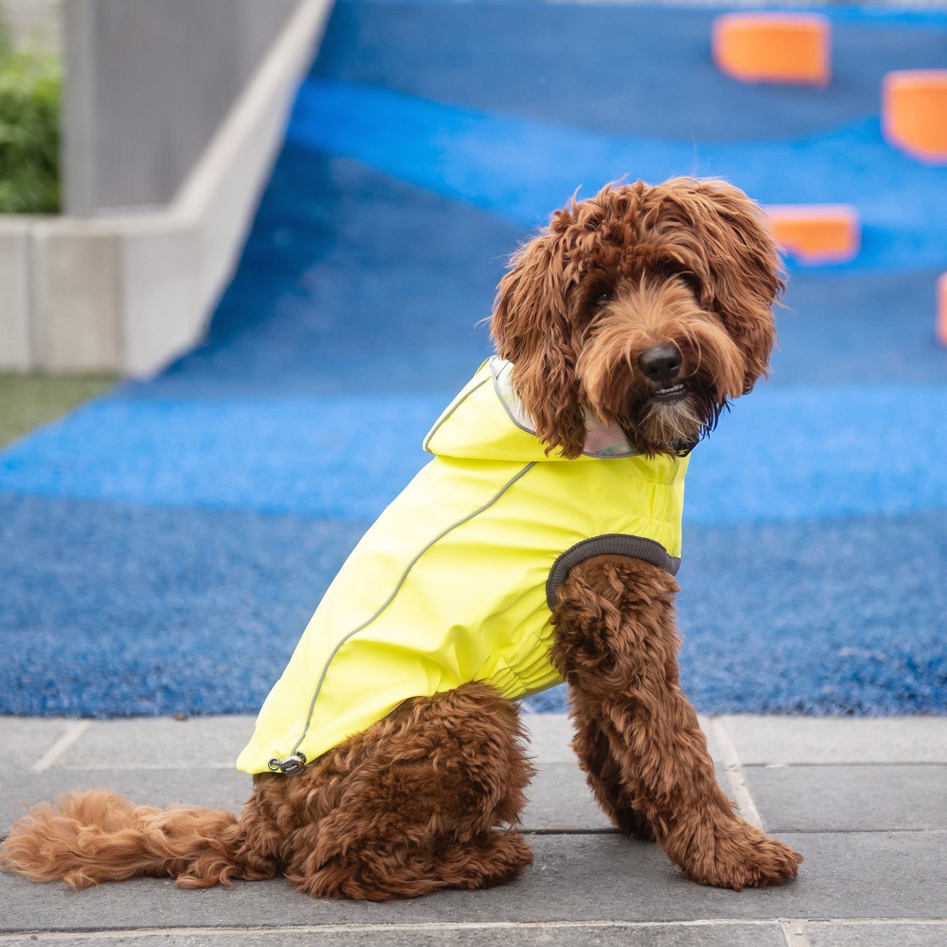 2-in-1 Reflective Dog Raincoat - Safety & Style for Every Weather 🌈 Pet&Paw