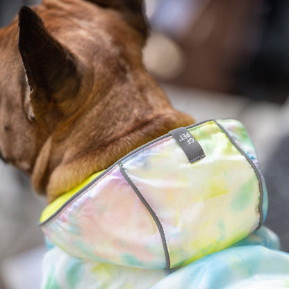 2-in-1 Reflective Dog Raincoat - Safety & Style for Every Weather 🌈 Pet&Paw