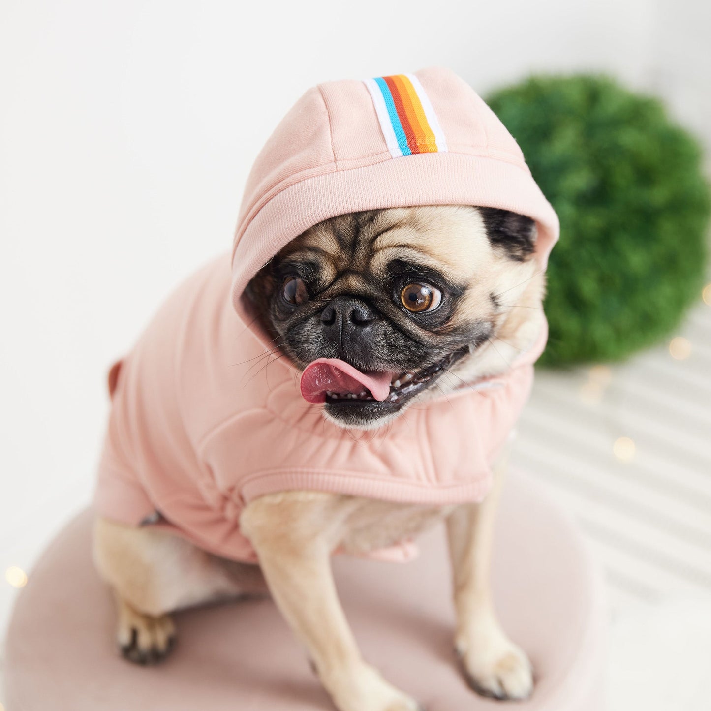 Cozy Dog Hoodie | Easy-Wear Elasto-Fit Technology | Fleece Pet Sweatshirt Pet&Paw