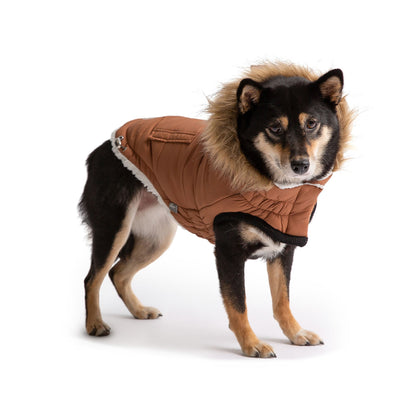 Luxury Sherpa-Lined Dog Parka Pet coat - Warmth Meets Style Pet&Paw