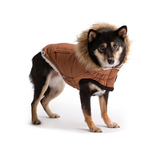 Luxury Sherpa-Lined Dog Parka Pet coat - Warmth Meets Style Pet&Paw