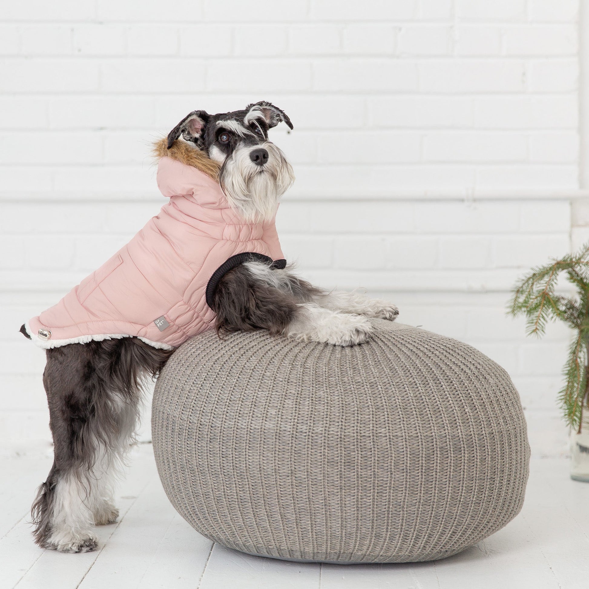 Luxury Sherpa-Lined Winter Dog Parka - Stay Cozy & Stylish Pet&Paw