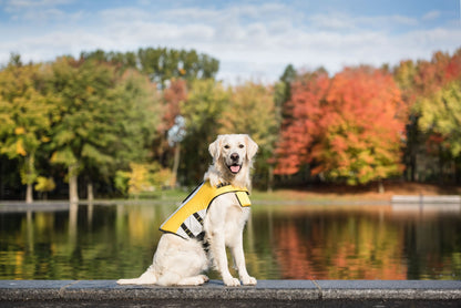 Premium Dog Life Jacket | Professional-Grade Water Safety Vest Pet&Paw