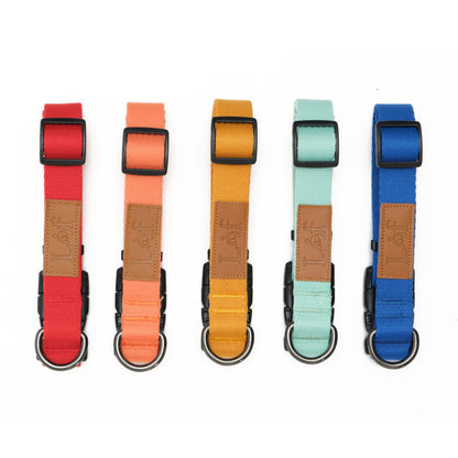 Durable Dog Collar | 40-Stitch Polyester Webbing | 5 Colors | Adjustable Fit Pet&Paw