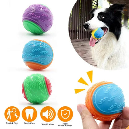 QuadPlay Wonder Ball - 4-in-1 Interactive Dog Toy for Treats, Dental Care, Play & Chewing/bite Pet&Paw