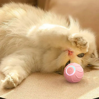 Ultra-Silent Smart Cat Ball - Motion-Activated LED Toy That Jumps & Rolls (USB Rechargeable Pet&Paw