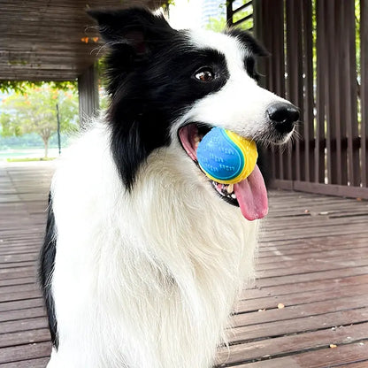 QuadPlay Wonder Ball - 4-in-1 Interactive Dog Toy for Treats, Dental Care, Play & Chewing/bite Pet&Paw