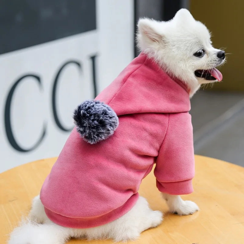 Cozy Pom-Pom Pet Hoodie - Stylish Winter Warmth for Small Dogs & Cats Pet&Paw