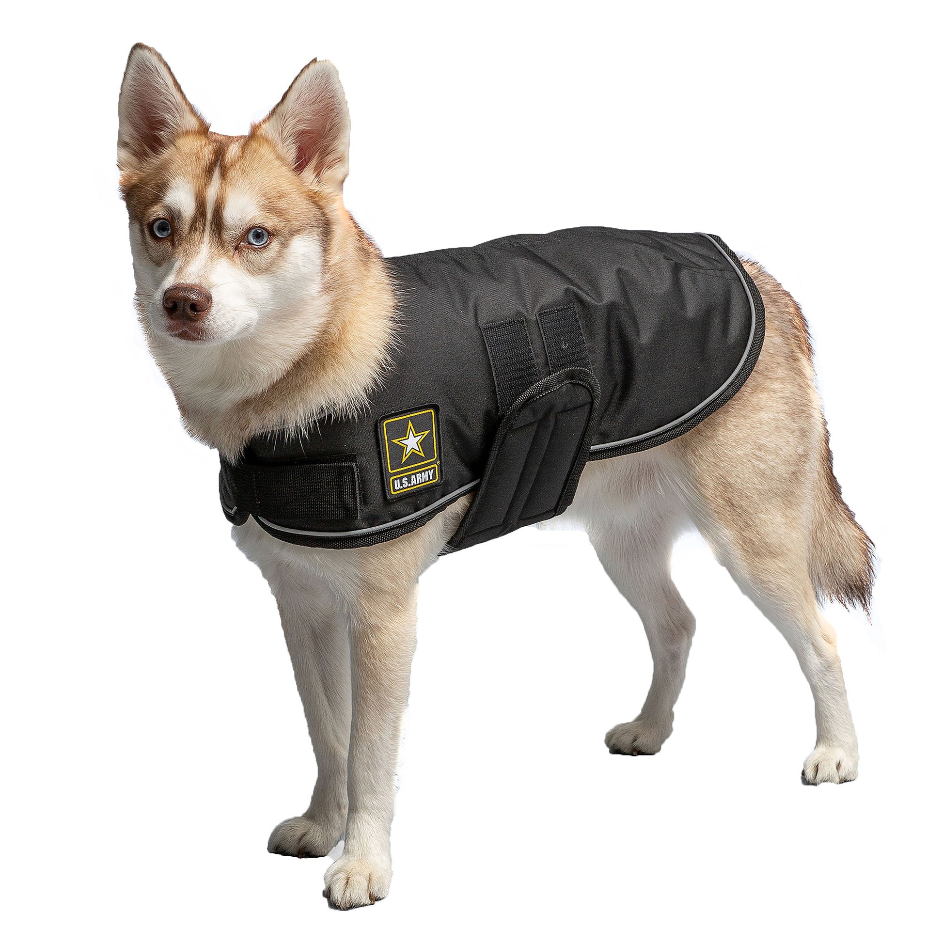 Official U.S. Army Dog Jacket | Military-Grade Protection Pet&Paw