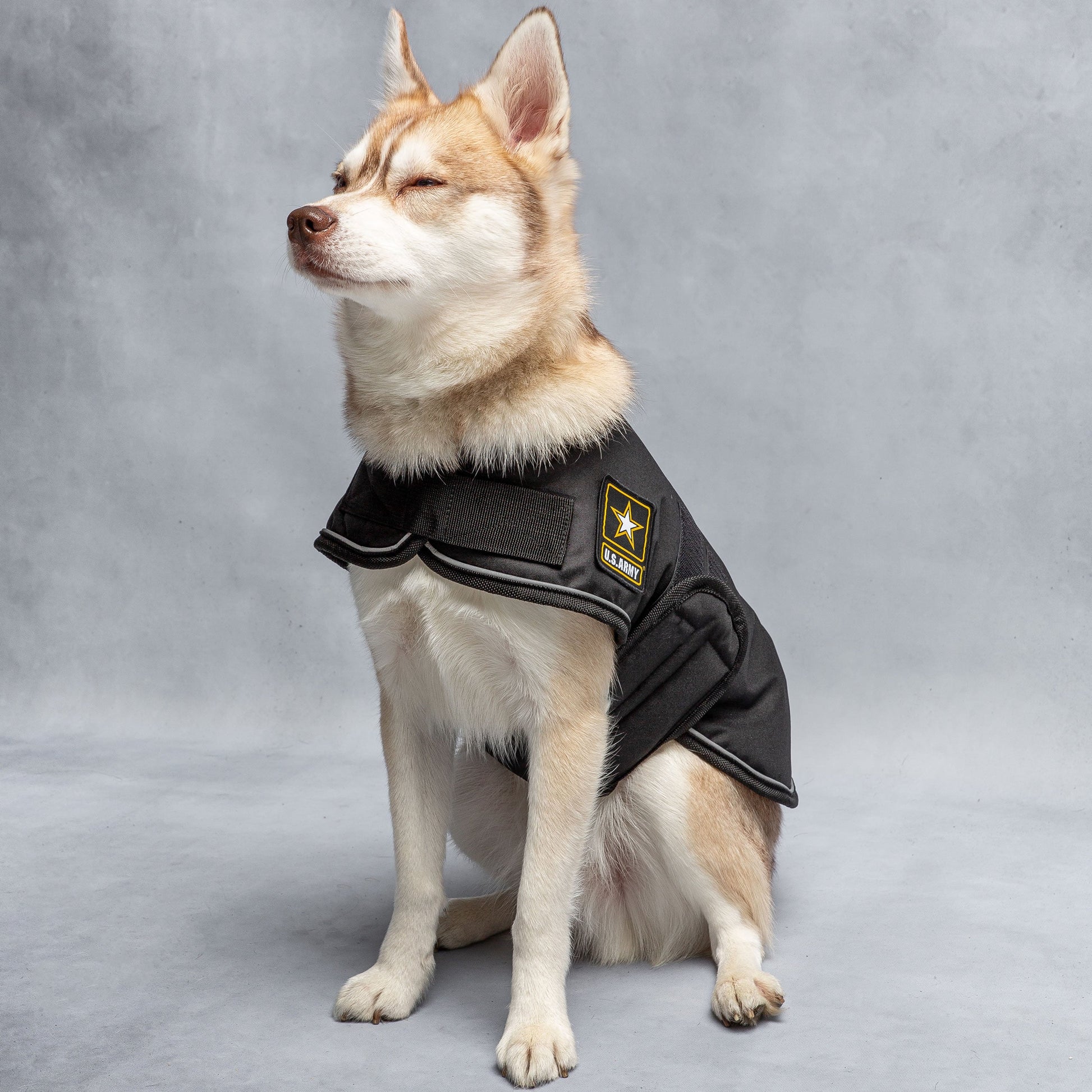 Official U.S. Army Dog Jacket | Military-Grade Protection Pet&Paw