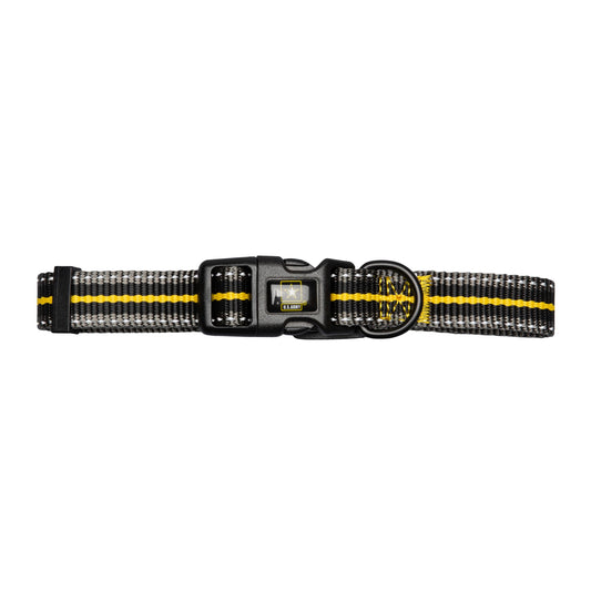 Adventure-Ready Reflective Dog Collar | Premium Comfort & Safety Pet&Paw