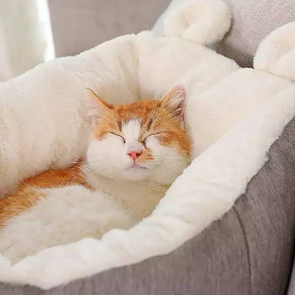 Plush Cuddle Cat bed Sofa - The Ultimate Feline Relaxation Haven Pet&Paw