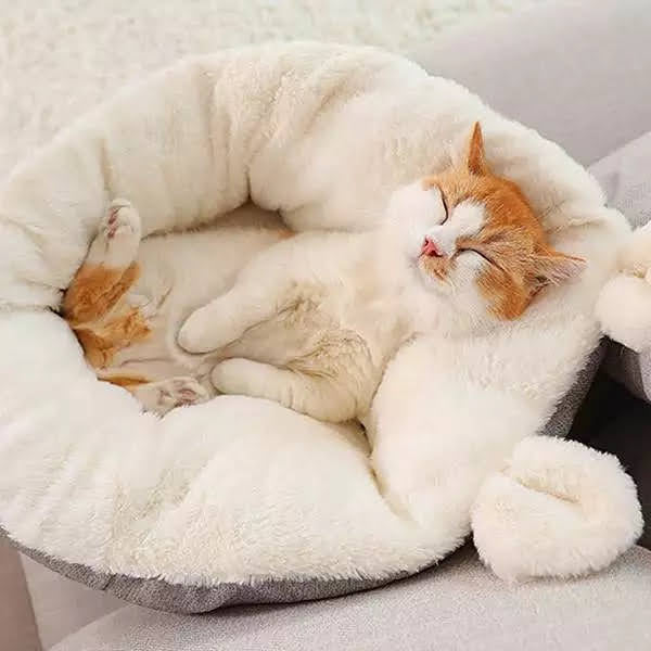 Plush Cuddle Cat bed Sofa - The Ultimate Feline Relaxation Haven Pet&Paw