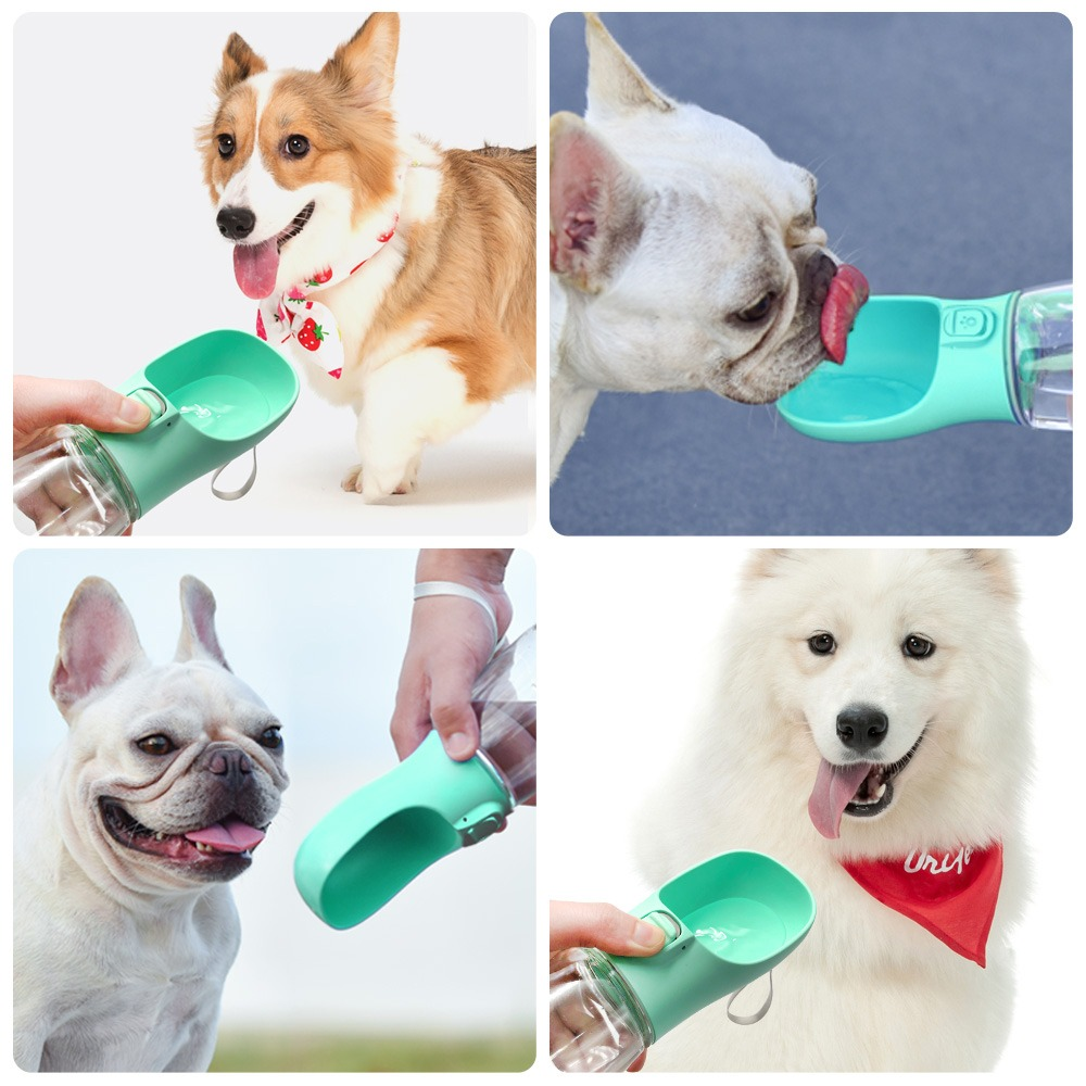 Premium Portable Dog Water Bottle | Leak-Proof Lock System | 350ml/550ml Pet Hydration Pet&Paw