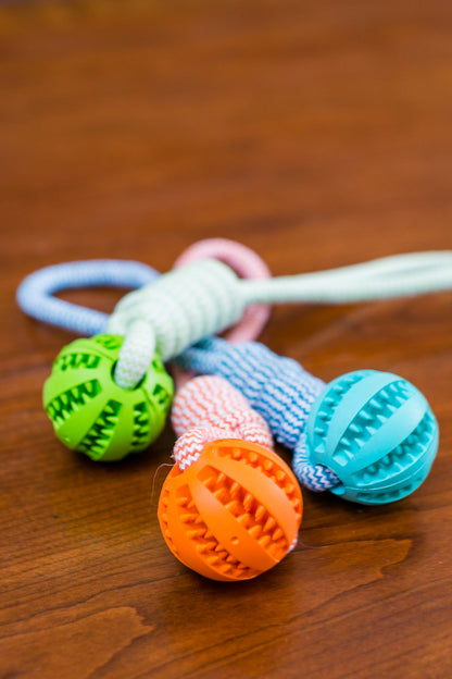 Interactive Dog Ball Rope Toy | Dental Cleaning Chew Ball with Durable Rope | Puppy Teething & Training Toy Pet&Paw