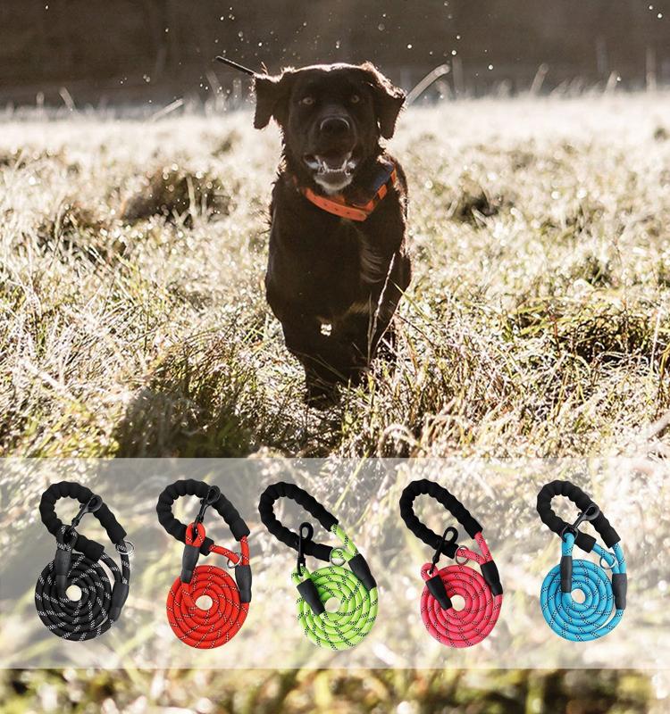 Indestructible Dog Leash - Mountain Grade Reflective Rope + FREE Waste Bag Dispenser Pet&Paw