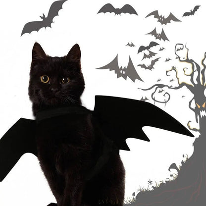 Transform Your pet into a Nocturnal Legend!  Halloween Pet Costume Small Pet Cat Bat Wings Pet&Paw